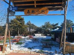 -北京西山国家森林公园