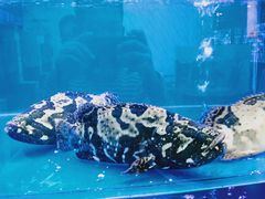 -百姓渔村(朝阳店)