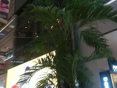 店内环境-远洋未来广场(育慧北路店)