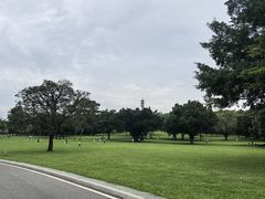 -东莞植物园