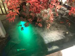 -小京华楼·京味斋(三元桥国展店)