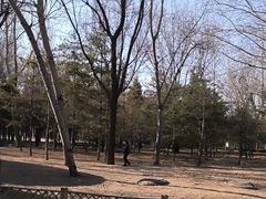 -森林公园(尖草坪区)