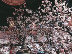 -蜜桃餐厅·伴山(绿宝广场店)