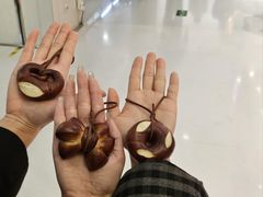 -小飞象面包公社(珠江路金鹰店)