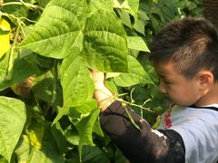 -万源龙顺度假庄园生态观光园