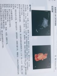 -美德因妇儿医院