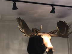 -Abercrombie & Fitch(三里屯太古里店)