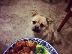 -蜗牛小馆醉乡民谣云南菜(惠新西里店)