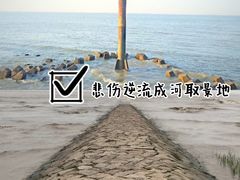 -东平国家森林公园