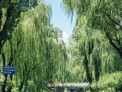 -皇家御河游(紫御湾码头)