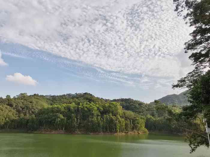 赖屋山水库-"赖屋山水库其实就在羊台山森林公园里,从大.