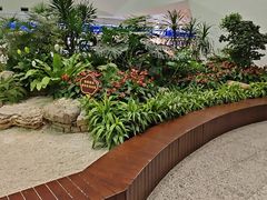 -广州白云国际机场-T2航站楼