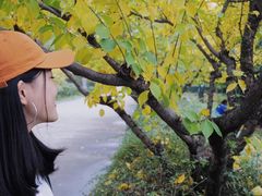 -宝鸡植物园