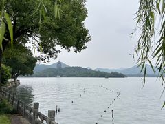 -杭州西湖柳莺里酒店