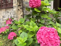 -华冠悠岚·庭院餐厅(青城后山店)