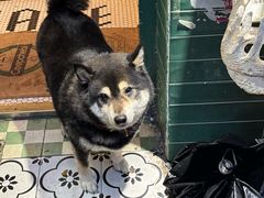 -大水的店(昙华林店)