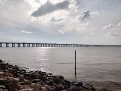 -宝安西湾红树林湿地公园