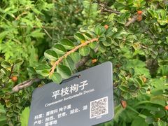-国家植物园