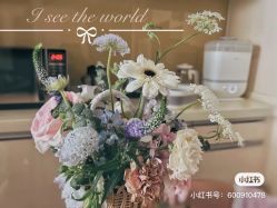 -新寰亚月子会所(盛捷白塘店)
