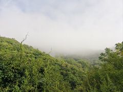 -秦岭风景区