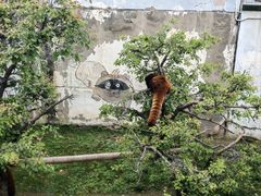 -青藏高原野生动物园