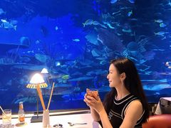 -迪拜帆船酒店海底餐厅