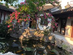 -苏州冶园园林民宿(太湖西山风景区店)