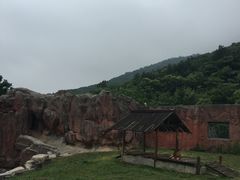 -无锡动物园·太湖欢乐园