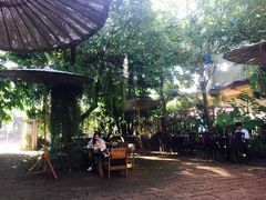 -Fern Forest Cafe