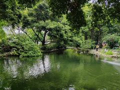 -成都市活水公园