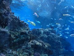 -海合安成都极地海洋公园