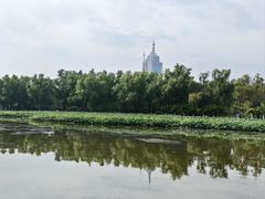 -莲花池公园
