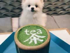 -茶是一枝花泡茶店