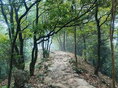 -梧桐山风景名胜区