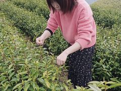-黑马眼科·近视手术