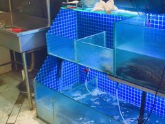 水产区-江湖万州烤鱼(王子美食城)