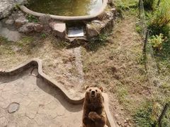 -无锡动物园·太湖欢乐园