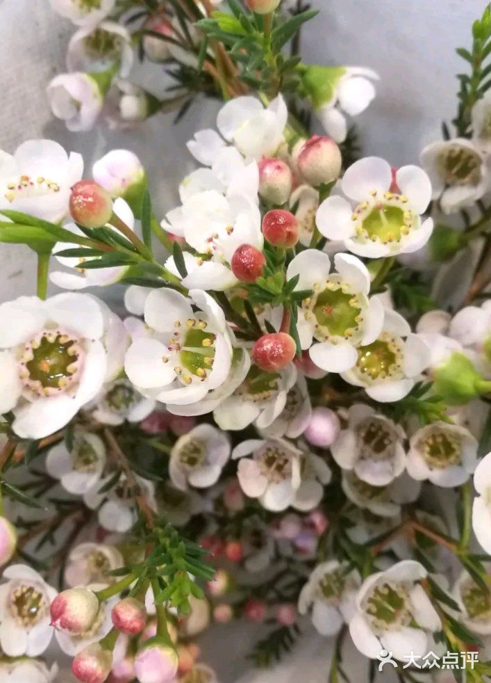 默默的迎接着春天的到来！