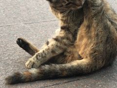 -青岛市图书馆