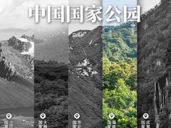 -海南热带雨林国家公园吊罗山景区