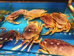 -必点海鲜·鲅鱼水饺(鞍山西道店)