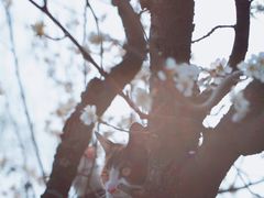 -国际非物质文化遗产博览园