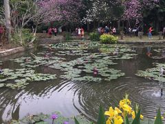 -华南国家植物园-售票处