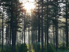 -塞罕坝国家级自然保护区