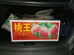 -菜园坝水果市场