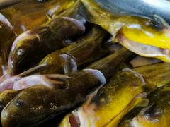 -荣德灶台鱼(圣泉寺店)