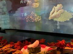 -地球美食剧场
