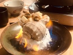-一本钓鲔鱼屋