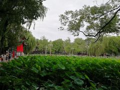 -四川大学(望江校区)