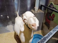 -酷嗒动物文化乐园(cutezoo西溪乐天城店)